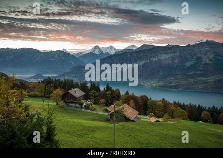 Blick über den Thunersee zu Sonnenaufgang über Eiger, Mönch und Jungfrau, Beatenberg, Berner Oberland, Kanton Bern, Schweiz Stockfoto