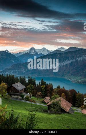 Blick über den Thunersee zu Sonnenaufgang über Eiger, Mönch und Jungfrau, Beatenberg, Berner Oberland, Kanton Bern, Schweiz Stockfoto