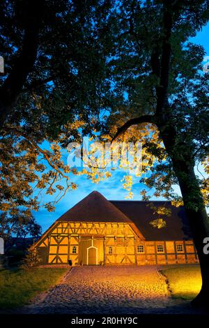 Typischen Reetdach Haus, Suederstapel, Schleswig-Holstein, Deutschland Stockfoto