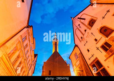 Schmale Viru-Straße mit dem Rathausturm in der historischen Altstadt von Tallinn, Estland, baltischen Staaten Stockfoto