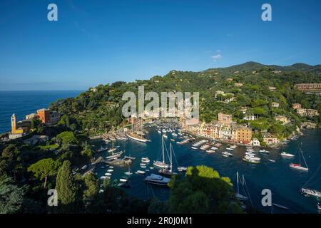 Portofino mit Blick auf den Hafen, die Provinz von Genua, italienische Riviera, Ligurien, Italien Stockfoto