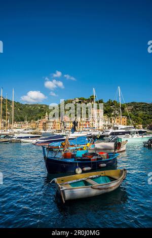 Angelboote/Fischerboote in den Hafen von Portofino, Provinz von Genua, italienische Riviera, Ligurien, Italien Stockfoto