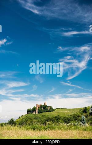 Schloss Ortenberg, in der Nähe von Offenburg, Ortenau, Schwarzwald, Baden-Württemberg, Deutschland Stockfoto