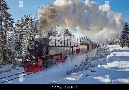 Brocken Dampfeisenbahn in Winterlandschaft, Harz, Sachsen-Anhalt, Deutschland Stockfoto