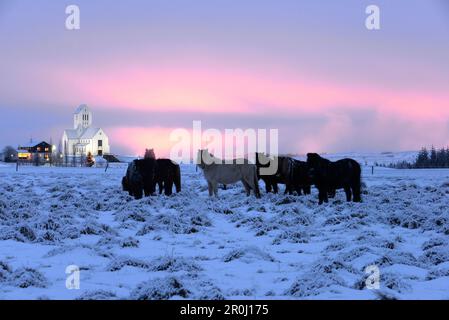 Blick auf die Skaholt-Kirche am goldenen Kreis, Island im Winter, Island Stockfoto