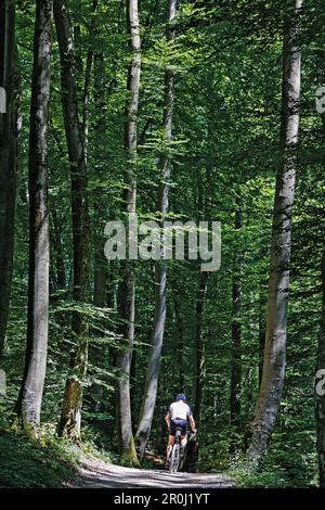 Radfahrer auf einem Pfad entlang der Isar bei Harlaching, München, Oberbayern, Bayern, Deutschland Stockfoto