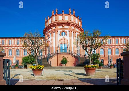 Biebrich Schloss, 18. Jahrhundert, Wiesbaden, Rhein, Mittelrhein, Mittelrhein, Hessen, Deutschland, Europa Stockfoto