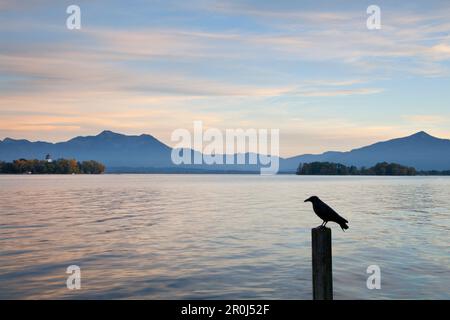 Blick über den Chiemsee, Fraueninsel, in der Nähe von Gstadt, Chiemsee, Chiemgau Region, Bayern, Deutschland Stockfoto