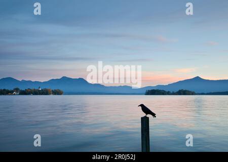 Blick über den Chiemsee, Fraueninsel, in der Nähe von Gstadt, Chiemsee, Chiemgau Region, Bayern, Deutschland Stockfoto