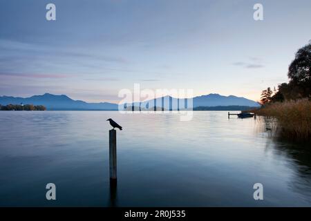 Blick über den Chiemsee, Fraueninsel, in der Nähe von Gstadt, Chiemsee, Chiemgau Region, Bayern, Deutschland Stockfoto