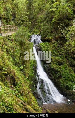 Lotenbachklamm, Wutachschlucht, in der Nähe von Bonndorf, Schwarzwald, Baden-Württemberg, Deutschland Stockfoto