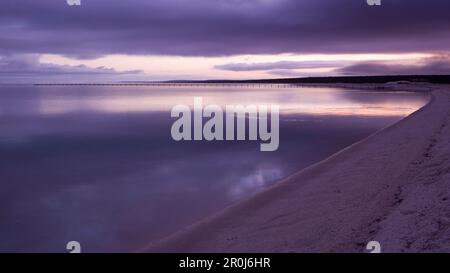 Strand bei Sonnenaufgang in violettem Licht, Shark Bay Road, nahe Denham-Hamelin Road, Westaustralien, Australien Stockfoto