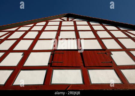 Fachwerkscheune mit roten Balken, Odershausen, Bad Wildungen, Hessen, Deutschland, Europa Stockfoto