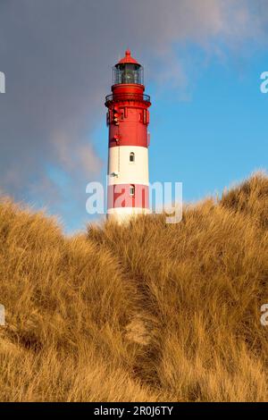 Amrum Leuchtturm hinter Sanddünen an einem sonnigen Wintertag, Amrum Insel, Schleswig-Holstein, Deutschland, Europa Stockfoto