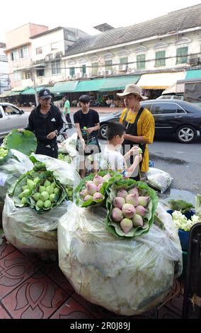 Lotusblumen verkauft auf dem farbenfrohen Pak Khlong Talat ( Blumenmarkt ) in Bangkok, Thailand. Stockfoto