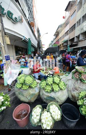 Lotusblumen verkauft auf dem farbenfrohen Pak Khlong Talat ( Blumenmarkt ) in Bangkok, Thailand. Stockfoto