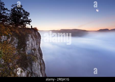 Eichsfelsen, Nebel im Donautal, Naturpark Obere Donau, Baden-Württemberg, Deutschland Stockfoto