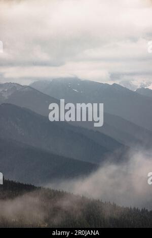 Wellenlinien unterschiedlicher Gebirgsketten werden durch die davor liegende Linie kontrastiert, die im Olympic-Nationalpark am Hurricane Ridge Tiefe und Textur erzeugt Stockfoto