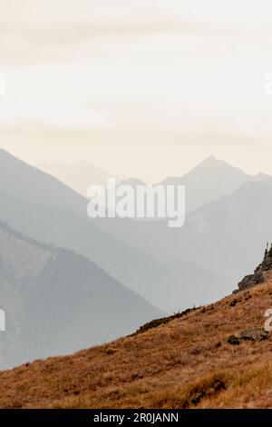 Wellenlinien unterschiedlicher Gebirgsketten werden durch die davor liegende Linie kontrastiert, die im Olympic-Nationalpark am Hurricane Ridge Tiefe und Textur erzeugt Stockfoto