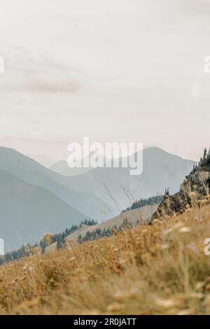 Wellenlinien unterschiedlicher Gebirgsketten werden durch die davor liegende Linie kontrastiert, die im Olympic-Nationalpark am Hurricane Ridge Tiefe und Textur erzeugt Stockfoto