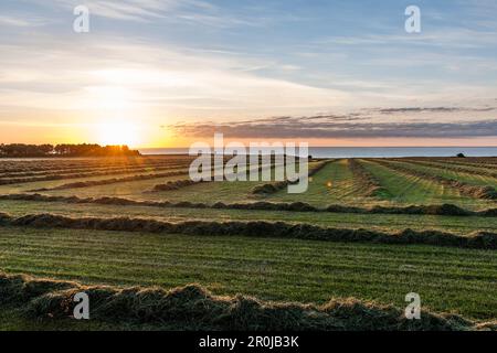 Wadden Sea at Sunrise, Braderuper Heide, Sylt, Schleswig-Holstein, Deutschland Stockfoto