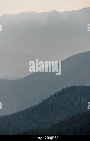 Wellenlinien unterschiedlicher Gebirgsketten werden durch die davor liegende Linie kontrastiert, die im Olympic-Nationalpark am Hurricane Ridge Tiefe und Textur erzeugt Stockfoto