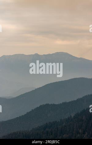 Wellenlinien unterschiedlicher Gebirgsketten werden durch die davor liegende Linie kontrastiert, die im Olympic-Nationalpark am Hurricane Ridge Tiefe und Textur erzeugt Stockfoto