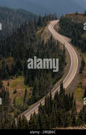 Die Straße führt zum Gipfel des Hurricane Ridge im Olympic National Park. Stockfoto