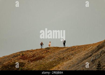 Ein junger Fotograf für eine Hochzeit macht Verlobungsfotos von einem Paar mittleren Alters im Hurricane Ridge im Olympic National Park. Stockfoto