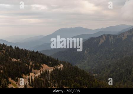 Die Straße führt zum Gipfel des Hurricane Ridge Olympic National Park mit schichtigen Bergen im Hintergrund. Stockfoto