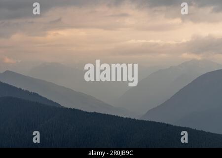 Wellenlinien unterschiedlicher Gebirgsketten werden durch die davor liegende Linie kontrastiert, die im Olympic-Nationalpark am Hurricane Ridge Tiefe und Textur erzeugt Stockfoto