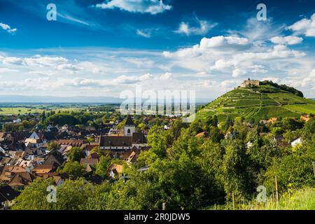 Burgruine und Weinberge, Staufen im Breisgau, Schwarzwald, Baden-Württemberg, Deutschland Stockfoto