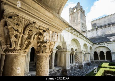 Kathedrale, Vaison-la-Romaine, Departement Vaucluse, Provence-Alpes-Cote d'Azur, Provence, Frankreich Stockfoto