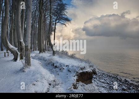 Winter entlang der Ostseeküste, Heiligendamm, Mecklenburg Western Pomerania, Deutschland Stockfoto