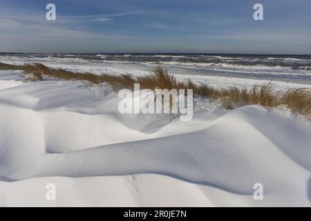 Winter entlang der Ostseeküste, Heiligendamm, Mecklenburg Western Pomerania, Deutschland Stockfoto