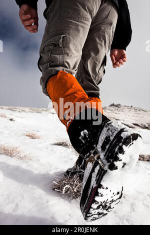 Wandern im Schnee, Aufstieg zum Unnutz Mountain (2078 m), Rofan Mountains, Tirol, Österreich Stockfoto