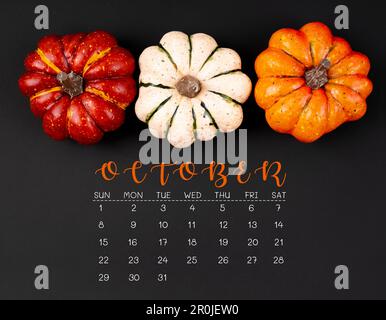 Oktober 2023 Kalender und Kürbisse auf schwarzem Hintergrund. Stockfoto