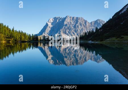 Seebensee mit Reflexion, Wettersteingebirge mit Zugspitze, bei Ehrwald, Bezirk Reutte, Tirol, Österreich, Europa Stockfoto