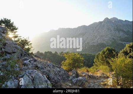 Sonnenuntergang im Naturpark Grazalema, Sierra de Grazalema, Andalusien, Spanien Stockfoto