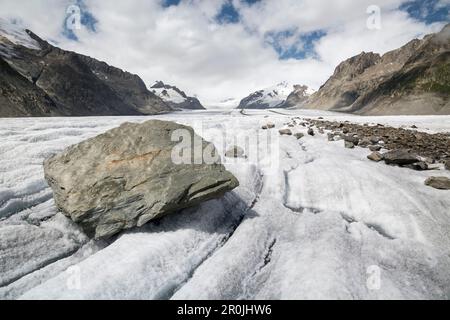 Ein Felsen, der langsam flussabwärts mit dem Eis des Gletschers, des Großen Aletschgletschers, der Berner Alpen, des Kantons Wallis, Schweiz, fährt Stockfoto