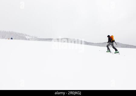 Backcountry-Skifahrer auf der Hochplatte, Tirol, Österreich Stockfoto