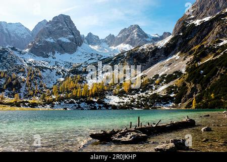 Seeben, Drachenkopf und Wampeter Schrofen im Mieminger, Ehrwald, Tirol, Österreich Stockfoto