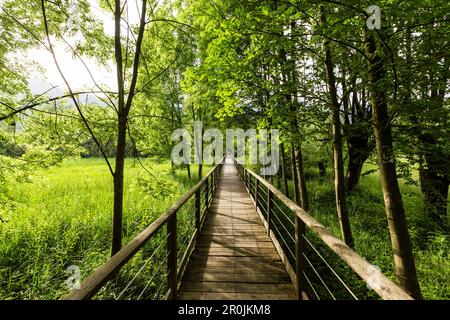 Holzsteg und Schilf, Idrosee, Baitoni, Trentino, Italien Stockfoto