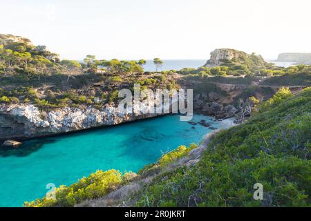 Strand mit türkisblauem Meer, Calo des Moro, Mittelmeer in der Nähe von Santanyi, Mallorca, Balearen, Spanien, Europa Stockfoto