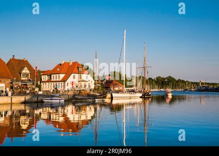 Marina mit traditionelle Segelboote, Neustadt, Ostsee, Schleswig-Holstein, Deutschland Stockfoto