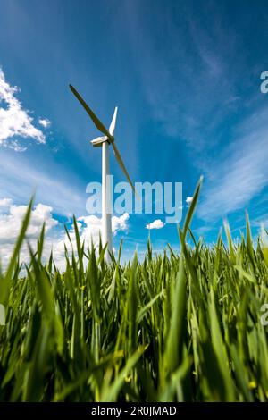 Windenergieanlage in einem Feld, Ostsee, Schleswig-Holstein, Deutschland Stockfoto