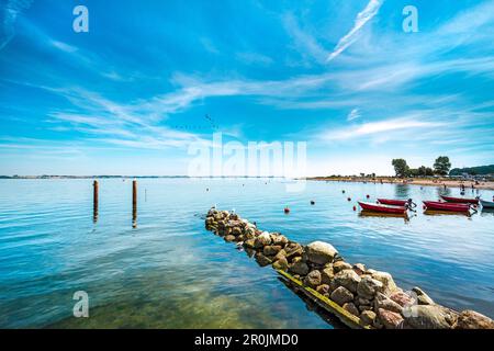 Ruhige See, Langballigau, Flensburger Foerde, Ostseeküste, Schleswig-Holstein, Deutschland Stockfoto