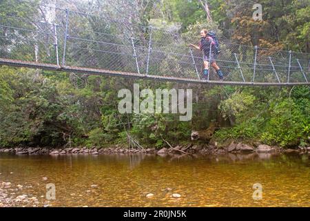 Überqueren Sie den Franklin River auf dem Weg zum Frenchmans Cap Stockfoto