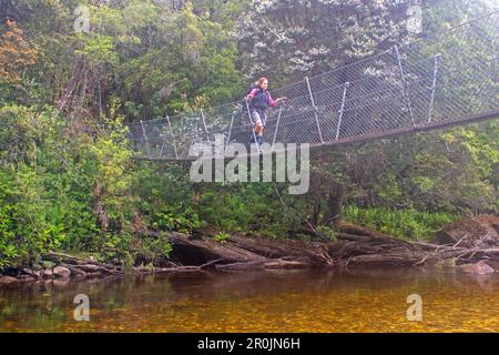 Überqueren Sie den Franklin River auf dem Weg zum Frenchmans Cap Stockfoto