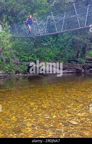 Überqueren Sie den Franklin River auf dem Weg zum Frenchmans Cap Stockfoto